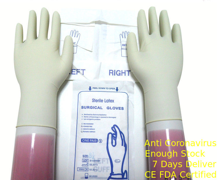 Перчатки естественного белого латекса цвета стерильного хирургические устранимые с свернутой оправой поставщик